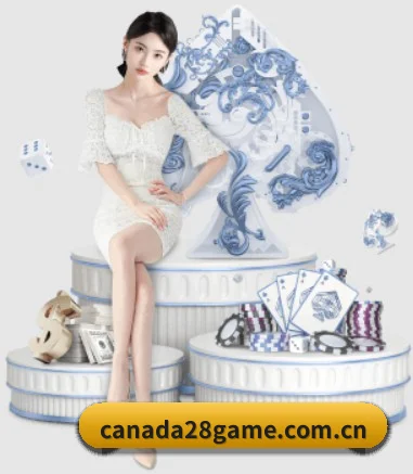 国际化进程（CANADA28）